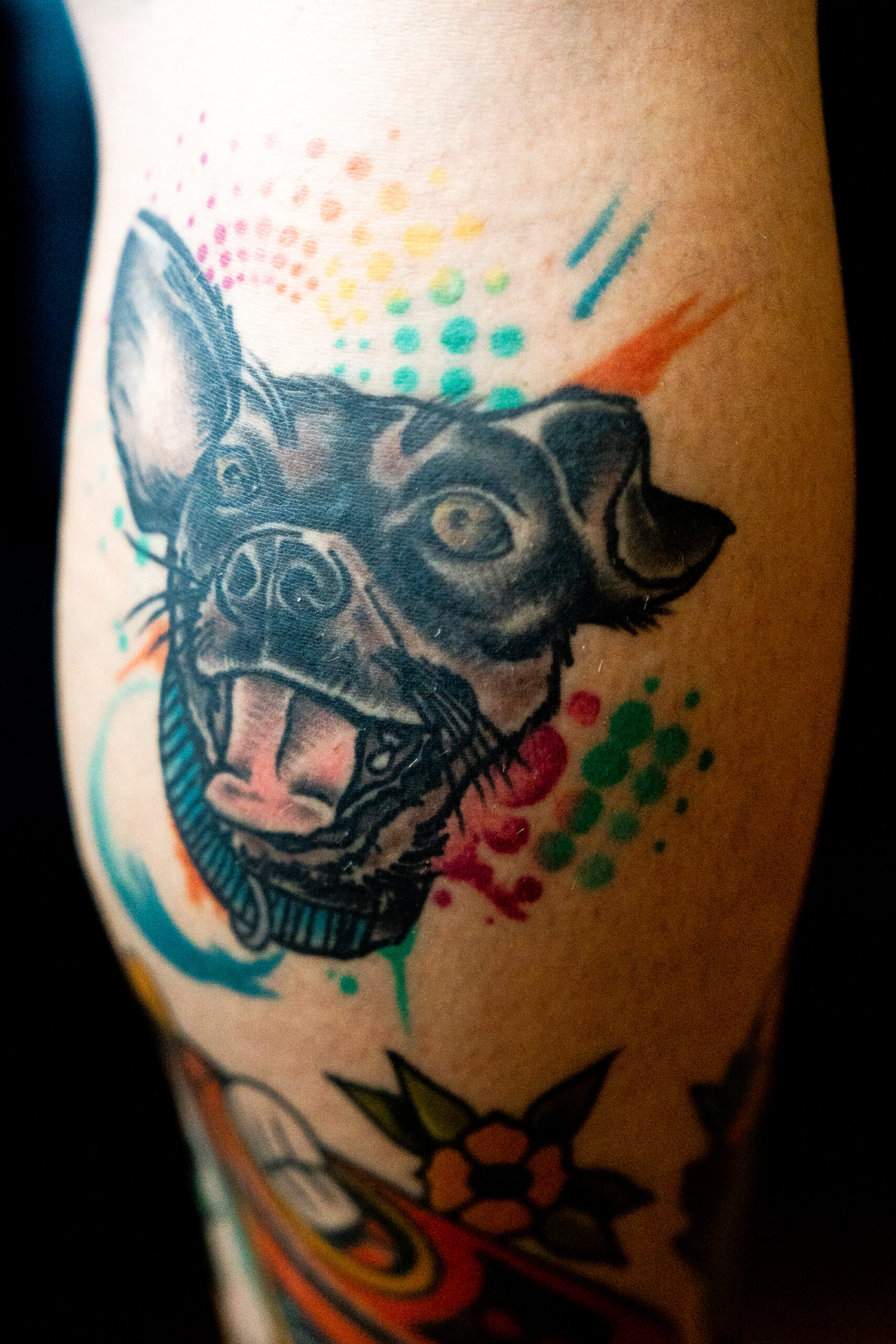 A closeup of a colorful tattoo on the back of a white woman’s calf of a dog with one floppy ear.